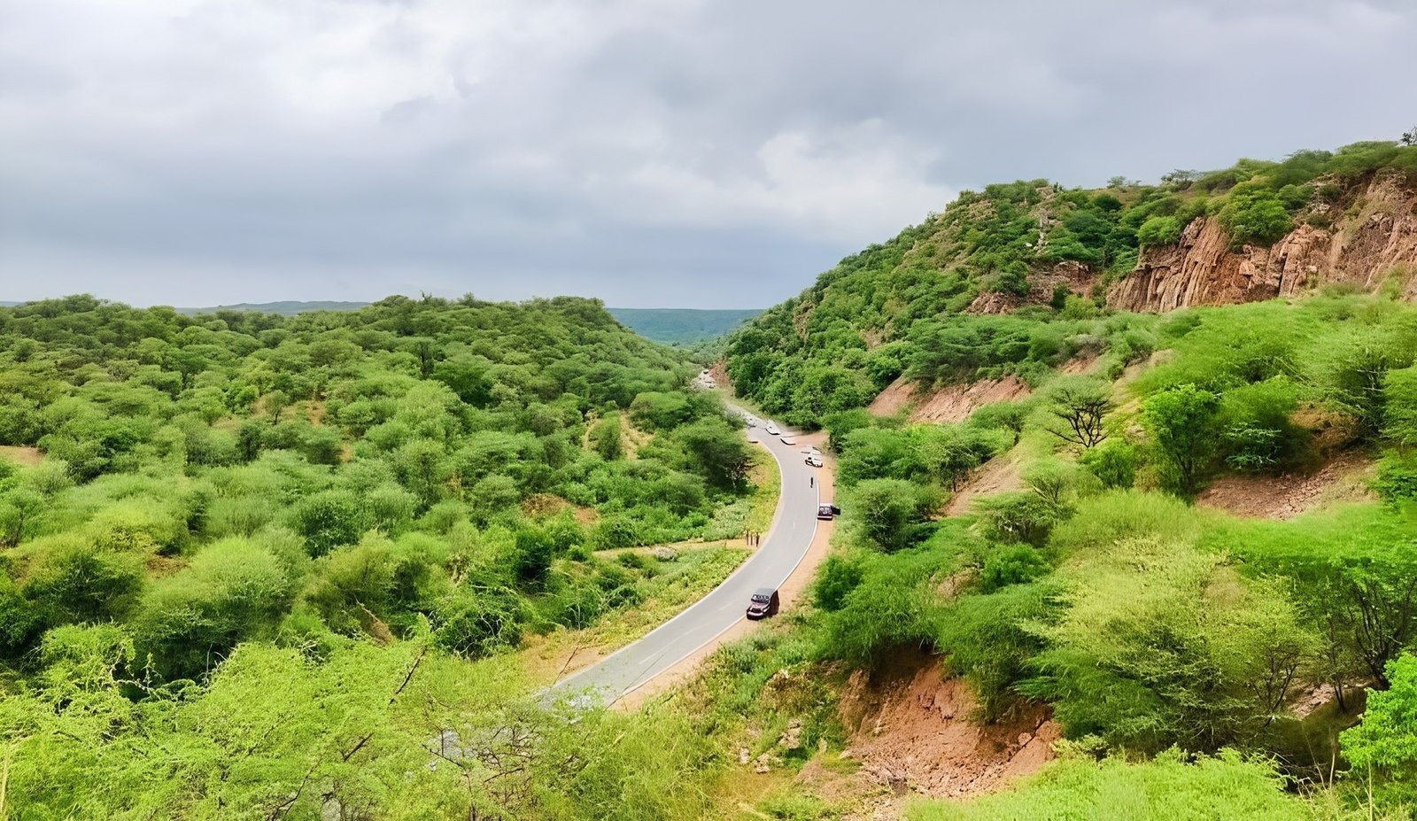 A road winding through the green Aravalli hills near the Leopard Trail, Gurgaon