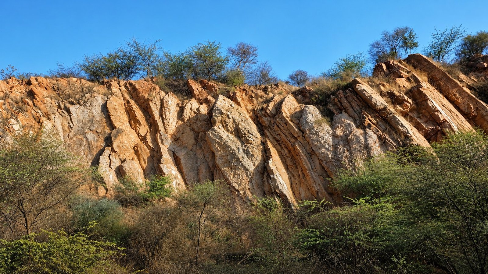 Folded rock face of the Aravalli hills with scrub and blue sky